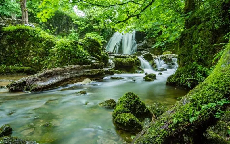 创意高效